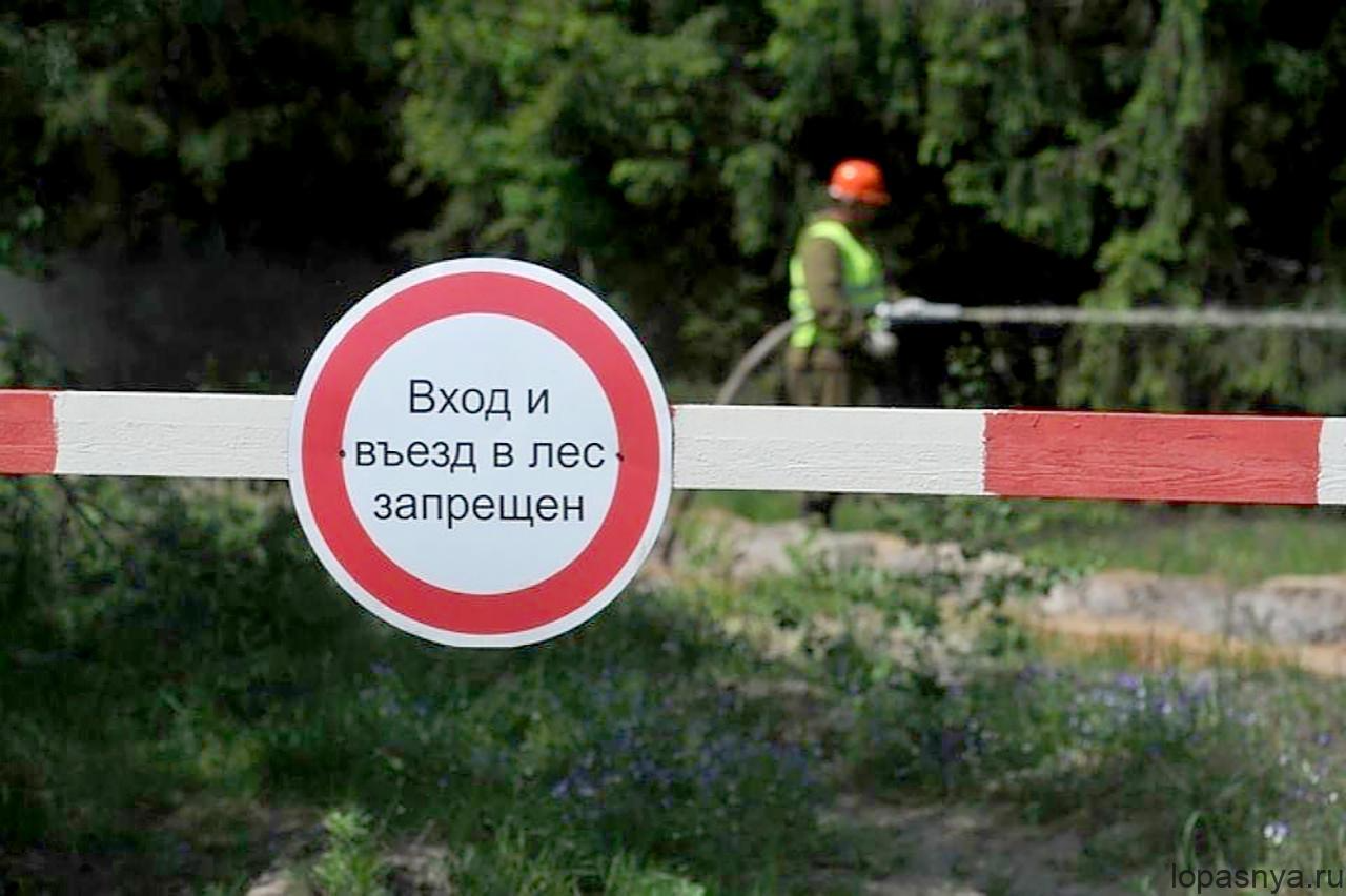 Запрет на посещение лесов. Вход в лес запрещен. Ограничено пребывание граждан в лесах. Въезд в лес запрещен. Посещение лесов запрещено.